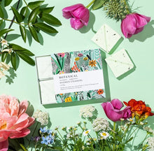 Load image into Gallery viewer, Shower Steamers by Botanical