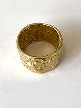 Load image into Gallery viewer, The Dark Hampton Scarf Ring Gold